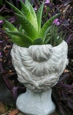 Aphrodite Lady Head Planter -Bird Haven Shop Aphrodite Head Planter Back View