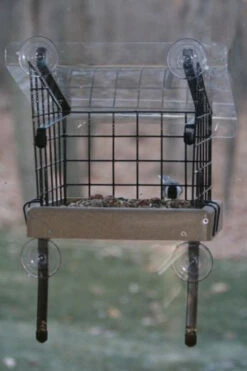 Caged Platform Window Feeder