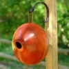 Ellipse Wooden Birdhouse- 3 Colors