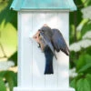 Copper Roof Bluebird House-Patina