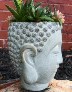 Buddha Head Planter -Bird Haven Shop Buddha Head Planter side view