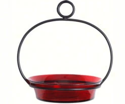 Glass Globe Dish Feeder/Mini-Bath- Red Or Lime -Bird Haven Shop COURM33720006