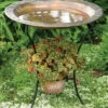 Flamed Bird Bath With Planter