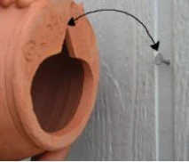 Bird Haven Shop -Bird Haven Shop DF Install 210622e6 71a8 4d3c b612 59648a5ab547