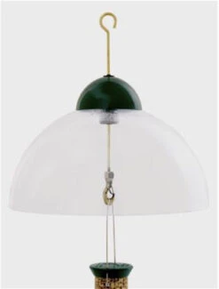 Droll Yankees Squirrel Guard Dome