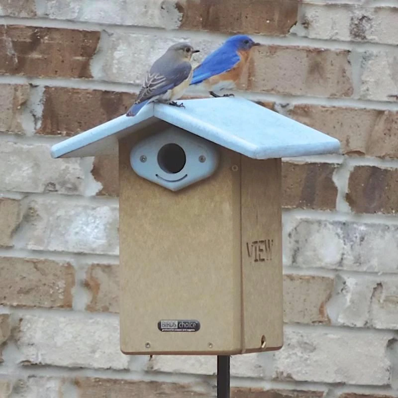 Deluxe Reycled Bluebird House-NABS Approved 1 Deluxe Reycled Bluebird House-NABS Approved