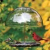 Dorothy’s Cardinal Bird Feeder