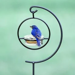 Garden Pole For Orb Feeders