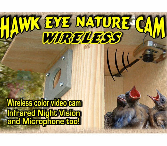 Hawk-Eye Wireless Spy Camera For Birdwatching 1 Hawk-Eye Wireless Spy Camera For Birdwatching