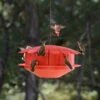 Humm-Bug Protein Hummingbird Feeder
