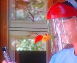 HummViewer Ultimate Feeder Mask -Bird Haven Shop Humm Viewer Feeder In Use