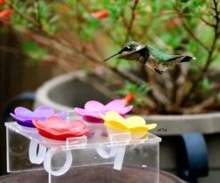 Hummer Ring Kit -Bird Haven Shop Hummer Ring Training Stand 0558d8e9 635f 4722 a384 e492227bd702