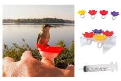 Hummer Ring Kit -Bird Haven Shop Hummer Ring kit