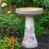 Hummingbird Bird Bath-Lock Top