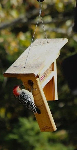 Clinger Woodpecker And Peanut Feeder 2 Clinger Woodpecker And Peanut Feeder - Image 2