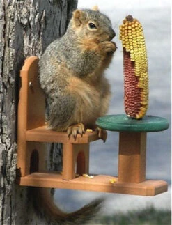Table And Chair Squirrel Feeder - Recycled Plastic