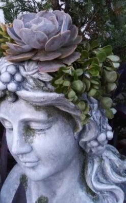 Large Lady Head Planter 8 Large Lady Head Planter -Bird Haven Shop Lady Head Planter Side 2 Detail