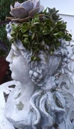 Large Lady Head Planter 9 Large Lady Head Planter -Bird Haven Shop Lady Head Planter Side Detail