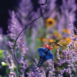 Mini-Blossom Hummingbird Feeder-Hanging -Bird Haven Shop Mini Blossom Hummingbird Feeder e8c0fe0e 1714 488e afe7 07768b3f6b54