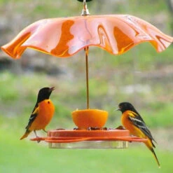 Oriolefest Oriole Bird Feeder