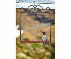 Pop's Hummingbird Swing -Bird Haven Shop POPSWINGBL