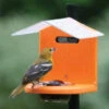 Recycled Pole Mount Oriole Feeder With Roof