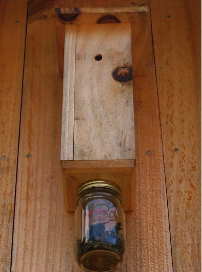 Carpenter Bee Trap 1 Carpenter Bee Trap