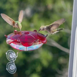 Window Mount Hummingbird Feeder