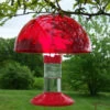 Dr. JB's Clean Hummingbird Feeder & Hummer Helmet