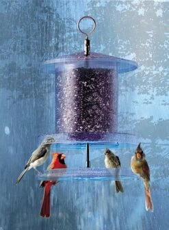 Songbird All-Weather Feeder 4 Or 6 Qt. -Bird Haven Shop Songbird All Weather Bird Feeder