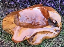 Decorative Teak Wood Bowls 21 Decorative Teak Wood Bowls -Bird Haven Shop Teak Bowl H