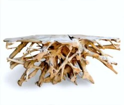 Teak Root Console Table 7 Teak Root Console Table -Bird Haven Shop Teak Root Console 73 inch