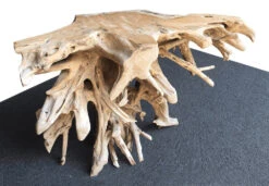 Teak Root Console Table 8 Teak Root Console Table -Bird Haven Shop Teak Root Console Table 50 inch
