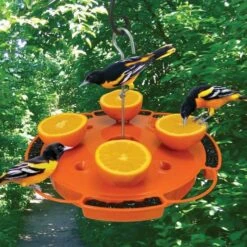 Ultimate Oriole Feeder