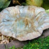 Large Ground Bird Bath- Organic Patina