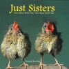Just Sisters Gift Book