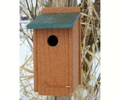 Recycled Western Bluebird House-NABS Approved