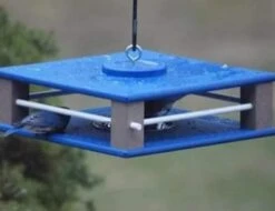 Gilbertson Hanging Bluebird Feeder -Bird Haven Shop hanging bluebird feeder