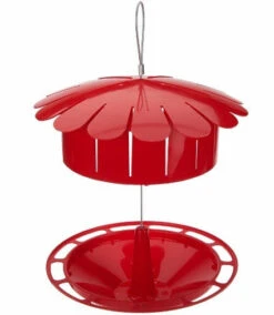 Humm-Bug Protein Hummingbird Feeder -Bird Haven Shop hum bug hummingbird feeder