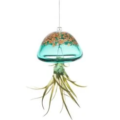 Jellyfish Air Plant Hangers Set/3 -Bird Haven Shop jellyfish air plant hanger green