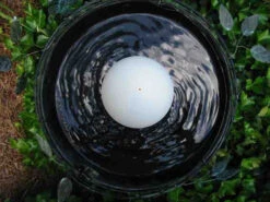 Water Wiggler For Birdbaths -Bird Haven Shop new wiggler 3c3b55ad cedd 4ba3 9ddc a6b502d6c4c2