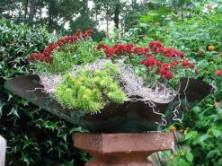Free-Form Copper Bird Bath/Planter -Bird Haven Shop planter7 2 f4725018 90ac 432e 873a 608ac2feb105