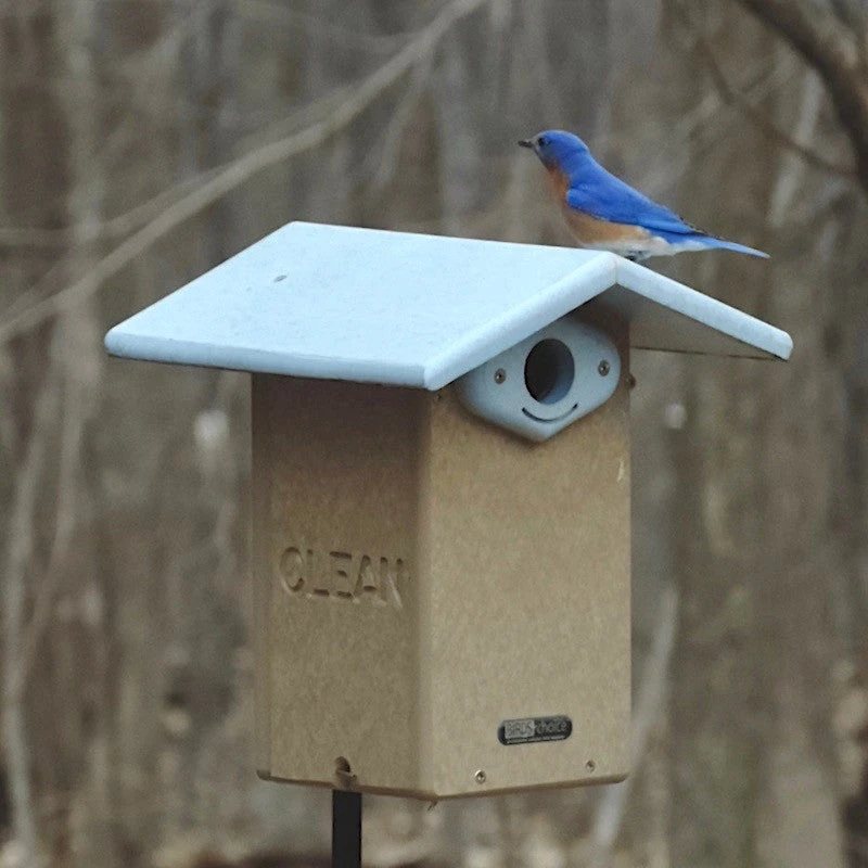 Deluxe Reycled Bluebird House-NABS Approved 2 Deluxe Reycled Bluebird House-NABS Approved - Image 2