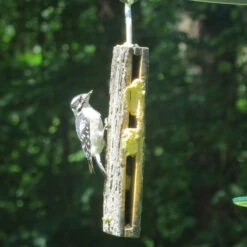 Suet Sandwich Bird Feeder -Bird Haven Shop recycled suet feeder