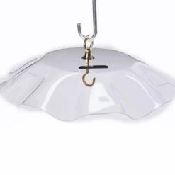 Acrylic Weather Guard-4 Colors -Bird Haven Shop weather guard clear