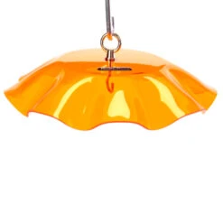 Acrylic Weather Guard-4 Colors -Bird Haven Shop weather guard orange